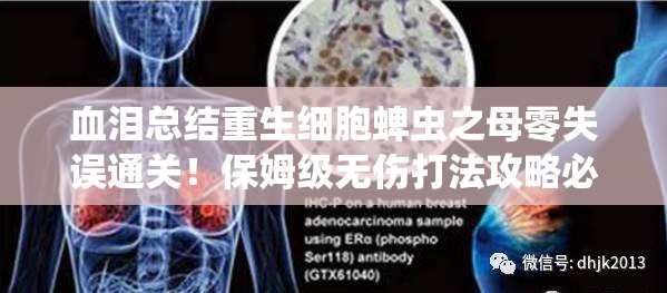 血淚總結重生細胞蜱蟲(chóng)之母零失誤通關(guān)！保姆級無(wú)傷打法攻略必存